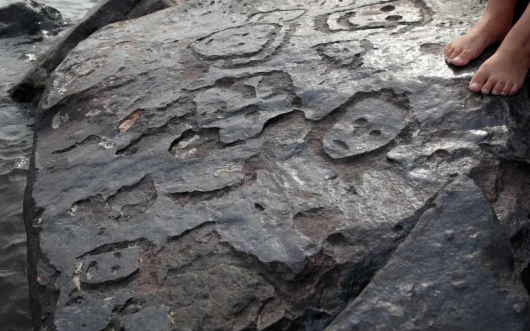 Amazon Rainforest Faces Worst Drought in Century