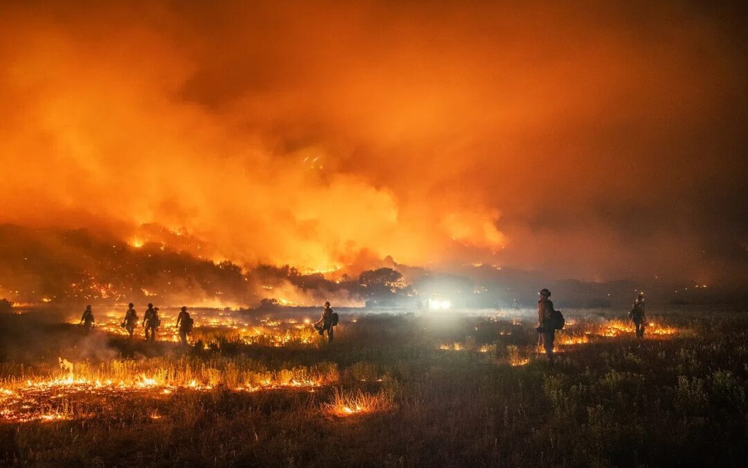 UK’s Unusually Dry Weather Raises Wildfire Concerns