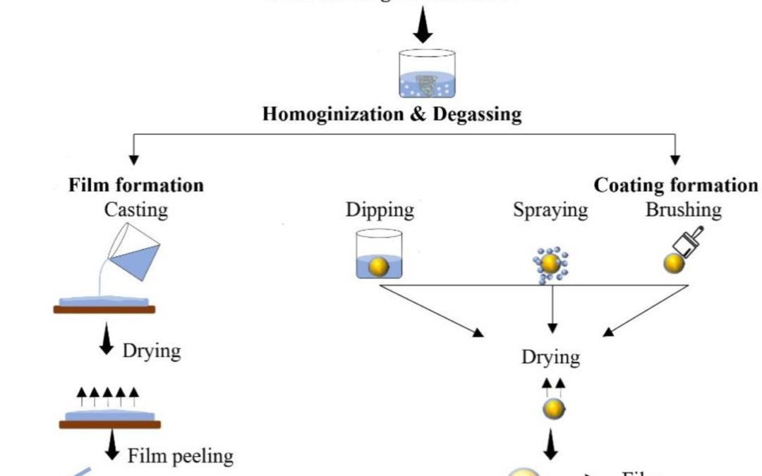 Scientists Engineer Edible Packaging to Reduce Plastic Waste