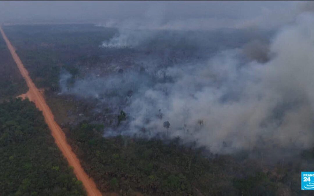 Brazil’s Supreme Court Orders Seizure of Lands with Illegal Deforestation