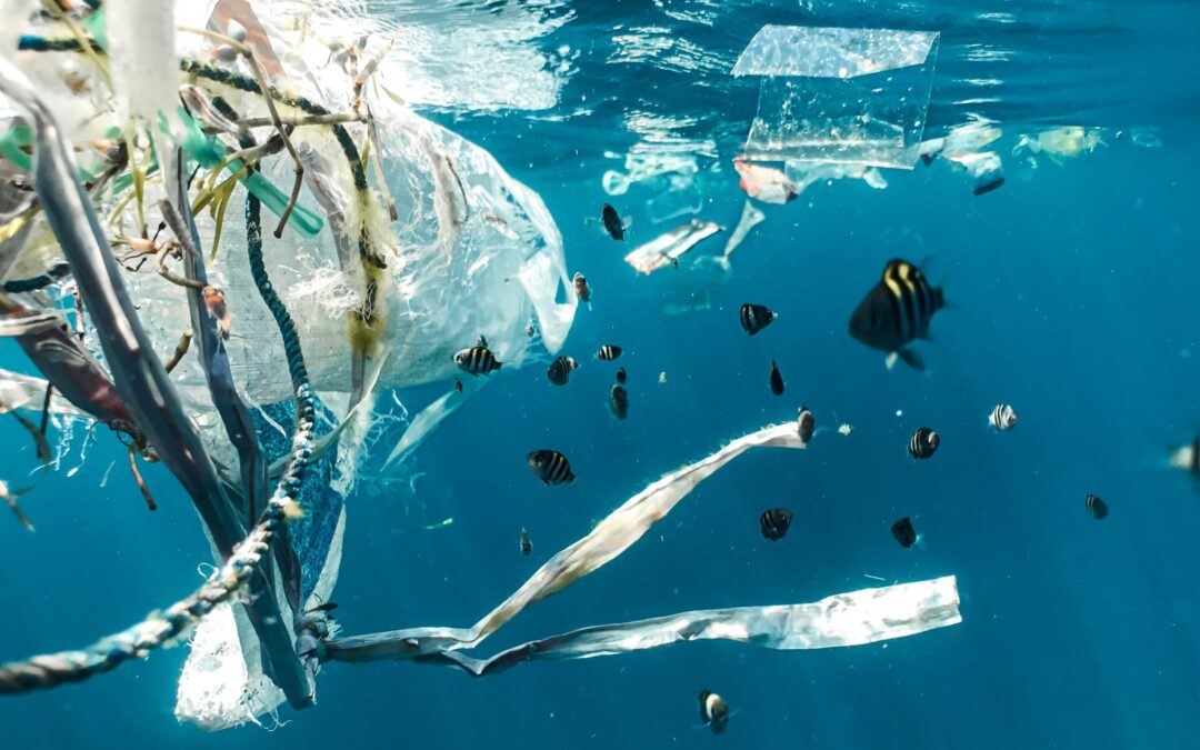 Plastic Pellet Pollution Threatens Marine Ecosystems