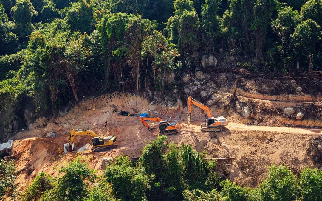 Controversial Highway Construction in Amazon for COP30 Summit