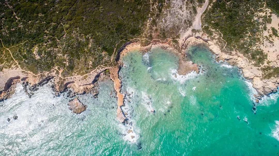 Oxford Fossil Study Finds Latitude Linked to Marine Extinction Risk