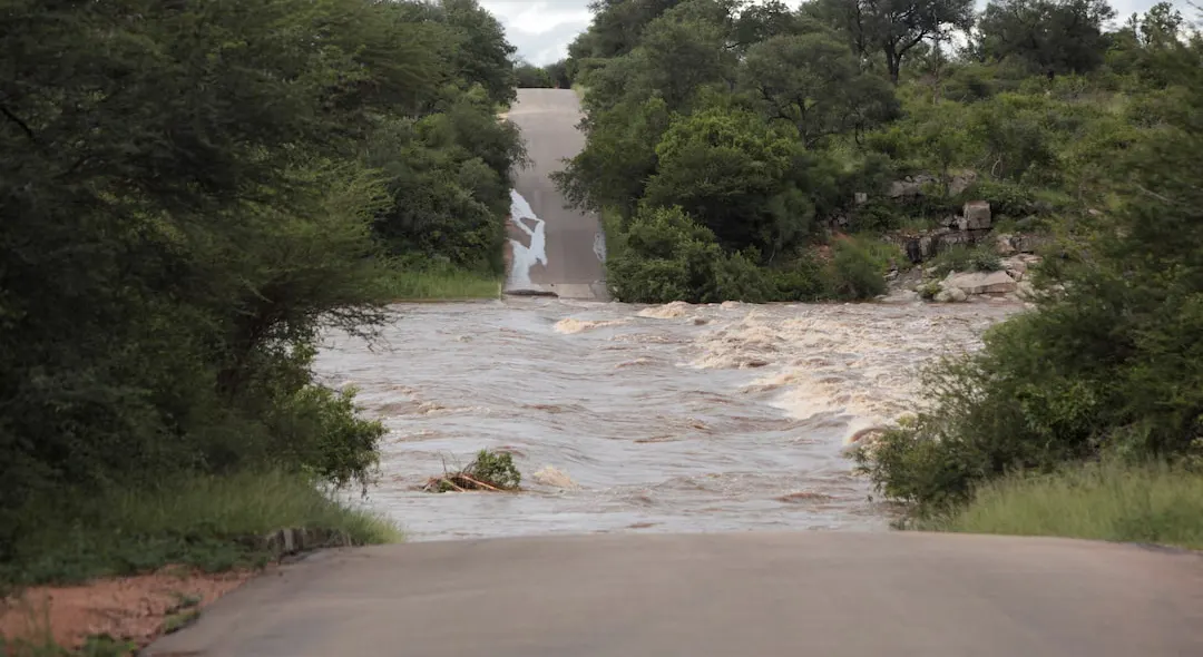 South Africa’s Kruger National Park Closes After Severe Flooding