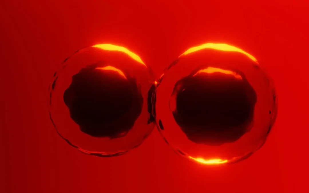 New Cell Division Mechanism Found in Giant Embryonic Cells