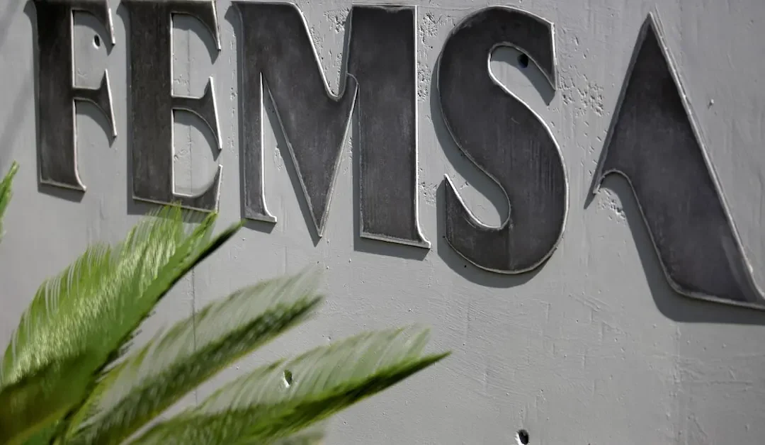 Mexico’s Femsa Cuts Jobs at Spin Fintech Unit