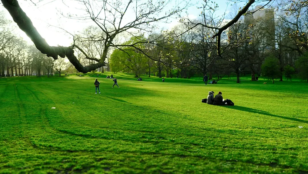 Major Cities Achieve Significant Reductions in Air Pollution