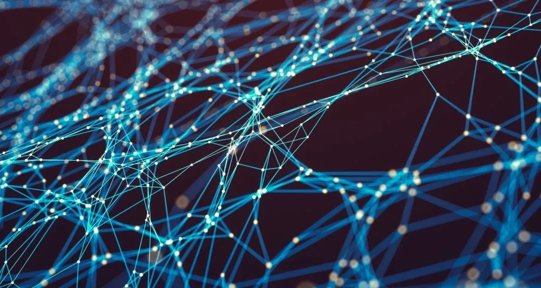 Oxford Study Reveals How Development and Sex Shape the Brain