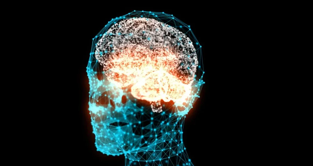 Oxford Study Reveals How Brain Interprets Uncertain Emotions