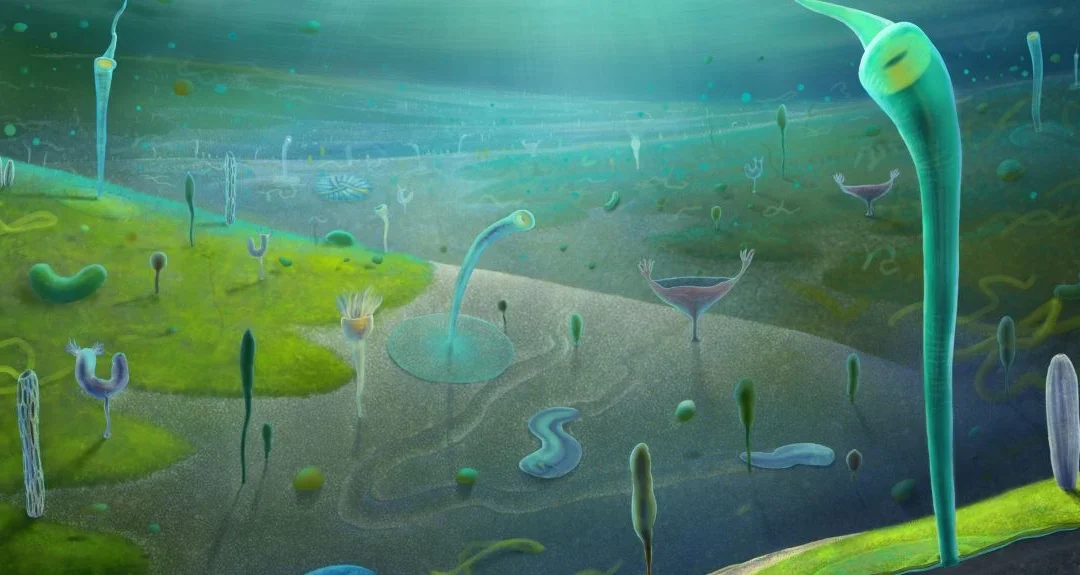 Oxford Fossil Discovery Pushes Back Origins of Complex Life