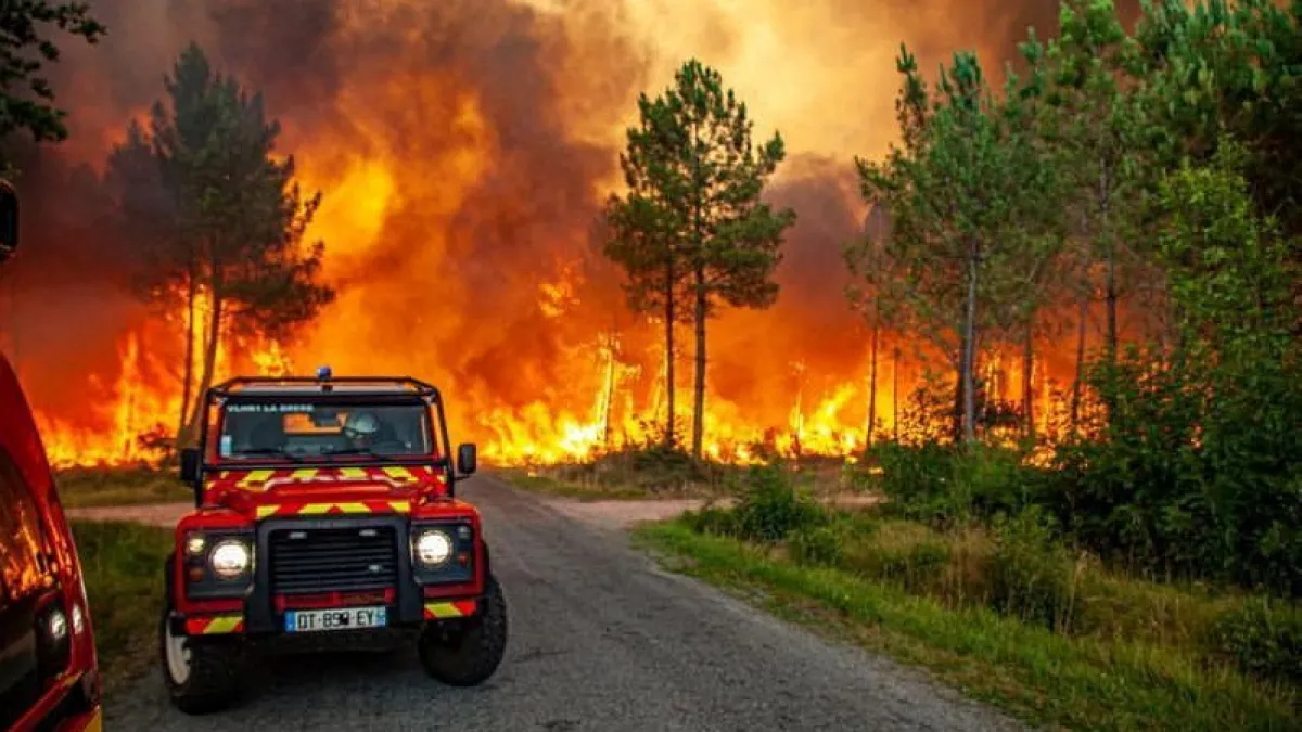 2022-07-16T083531Z_1891627562_RC2WCV95C5U0_RTRMADP_3_EUROPE-WEATHER-FRANCE-WILDFIRE