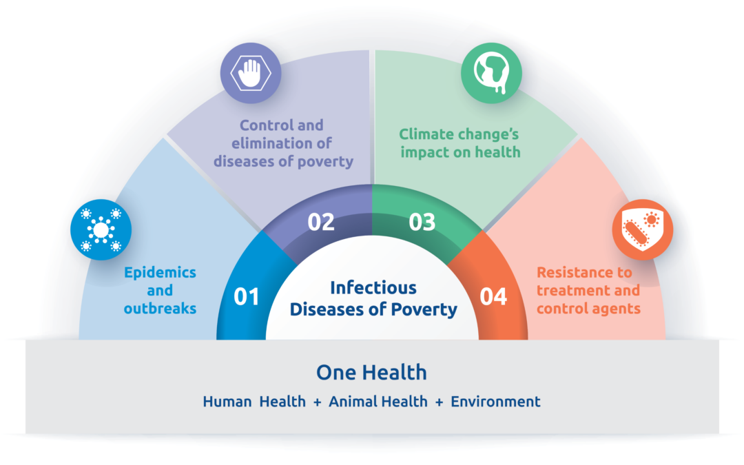 Global Health Organizations Tackle New Disease Outbreaks and Health Challenges