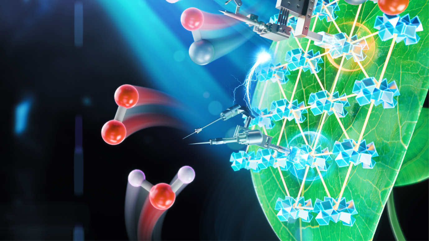 artificial-photosynthesis