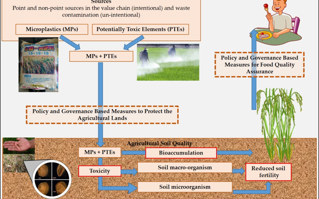 Microplastics Infiltrating Agricultural Lands and Food Supplies