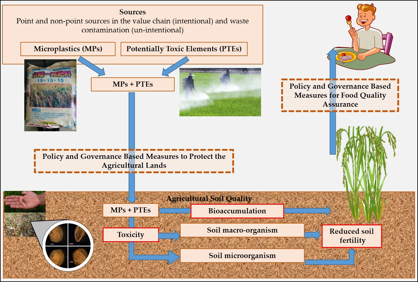microplastics-01-00007-ag