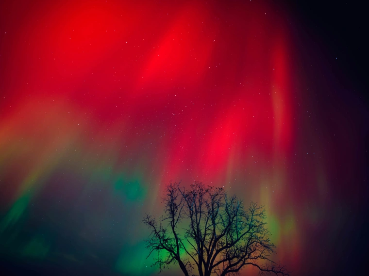 northern-lights-wisconsin-mc-241011-56f094