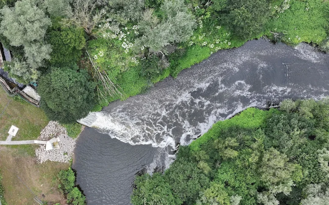 Serious Water Pollution Incidents Up 60% in England, Environment Agency Reports