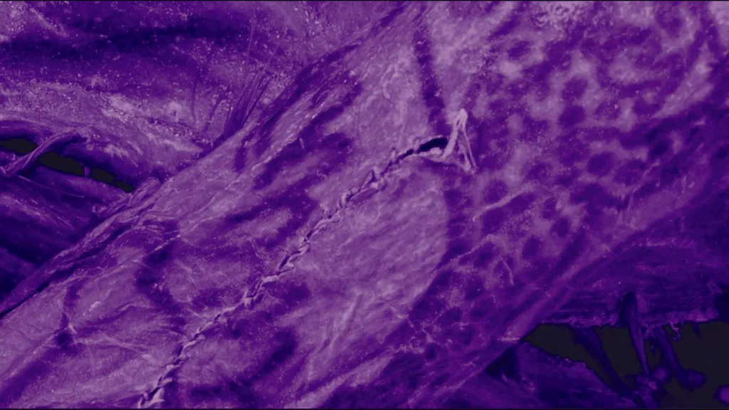 Ancient Siberian ‘Ice Mummy’ Reveals Intricate 2,500-Year-Old Tattoos