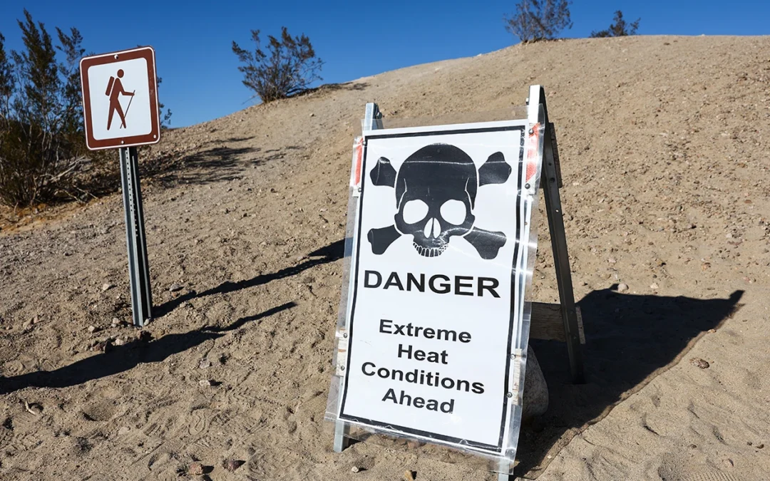 Dozens of Heatwaves Linked to Carbon Emissions From Specific Companies
