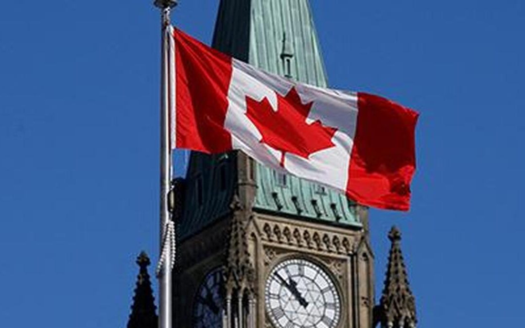 Fearing fraud, Canada rejects most Indian study permit applicants 