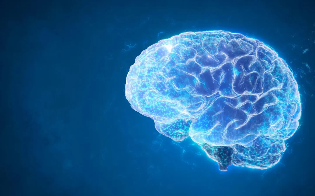 Brain Cell Cleanup Cuts Seizures, Restores Memory