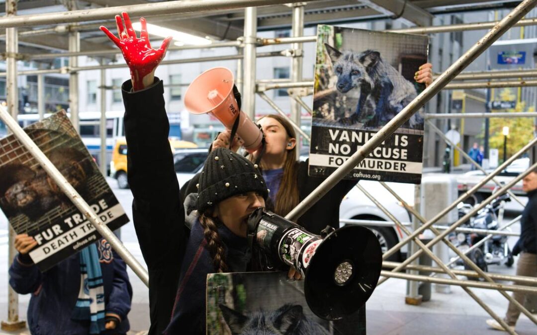 Animal-Free Fashion Gains Ground in 2025