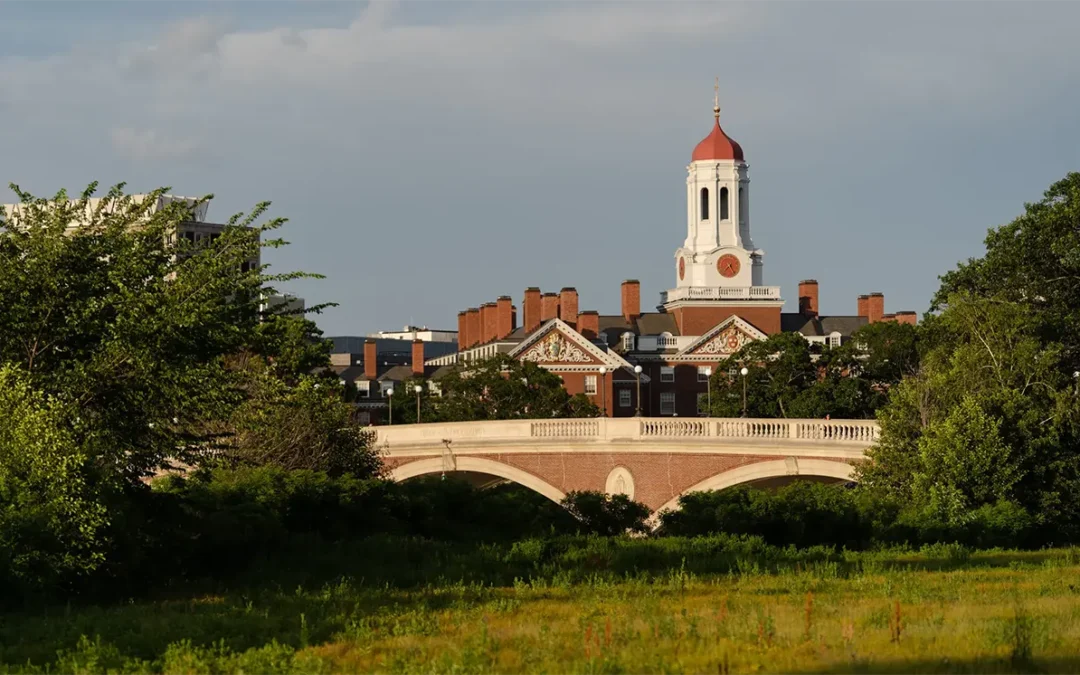 Harvard Awards Fewer A Grades After Grade Inflation Review