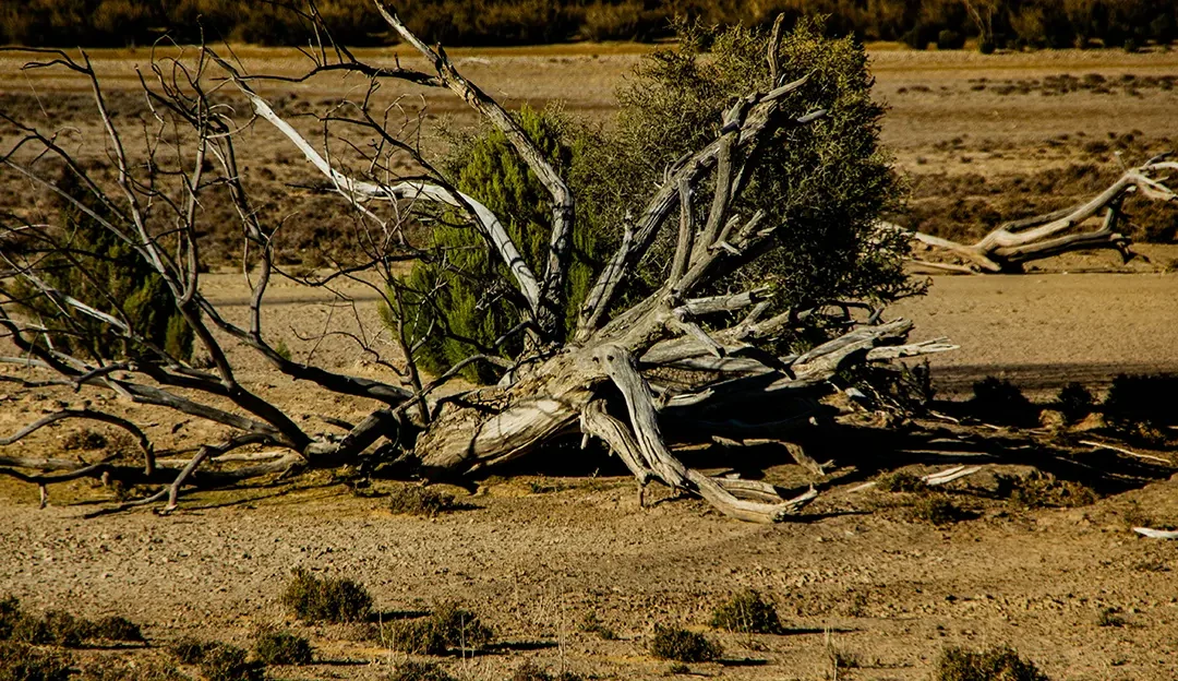 Drought Worsens Hunger in Northern Kenya as Aid Falls