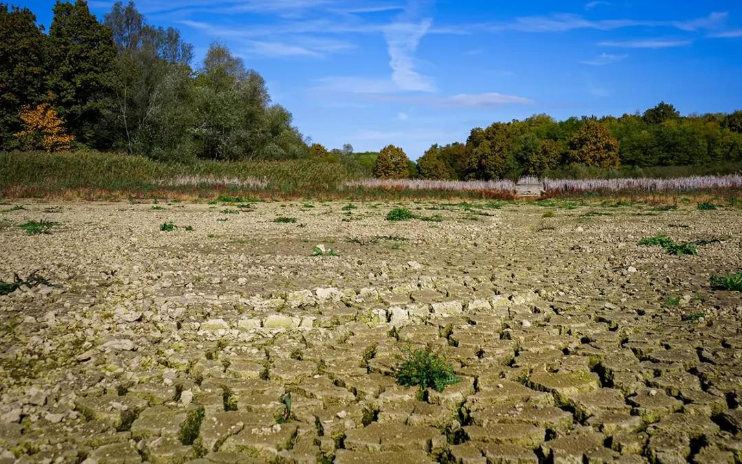 La Niña May Shift Toward El Niño in 2026