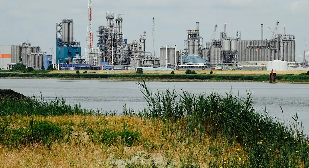 Energy Crisis Pushes Stocks 5% Below January High