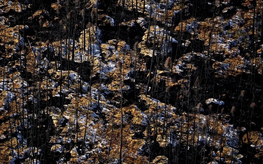 Canada Wildfire Season 2026 Raises Early Concerns