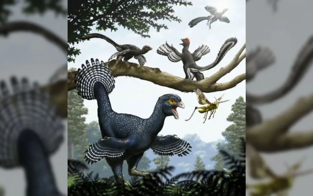 If Wings Evolved Before Flight, What Were They Originally Used For?