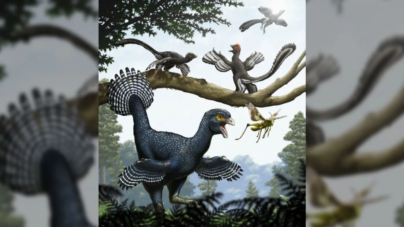 050126_LB_dinosaurfeathers_main