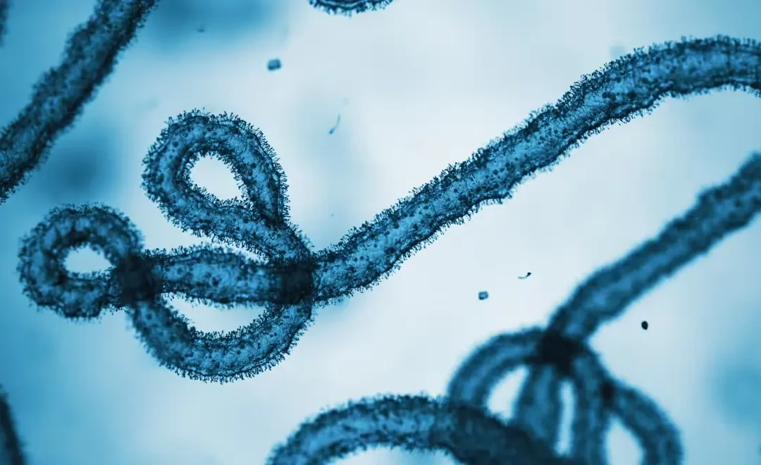 Oxford-Led PARTNERS Trial Begins for Bundibugyo Virus Treatment