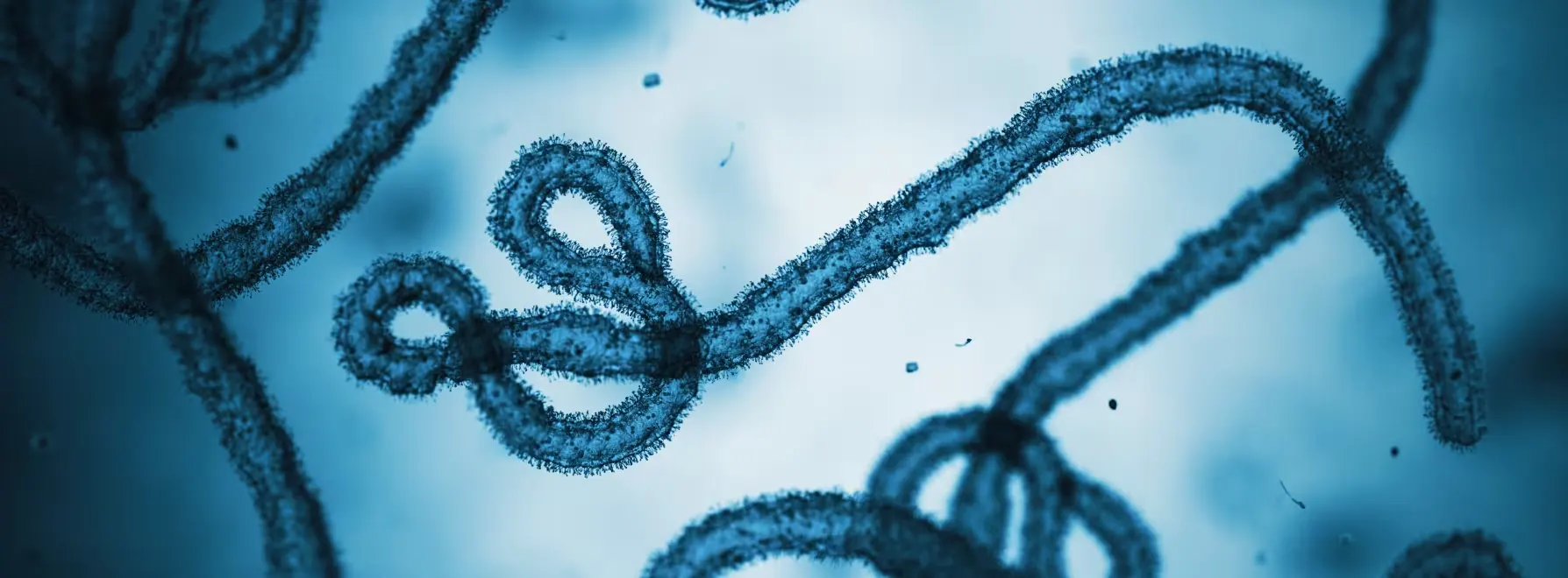 Oxford-Led PARTNERS Trial Begins for Bundibugyo Virus Treatment