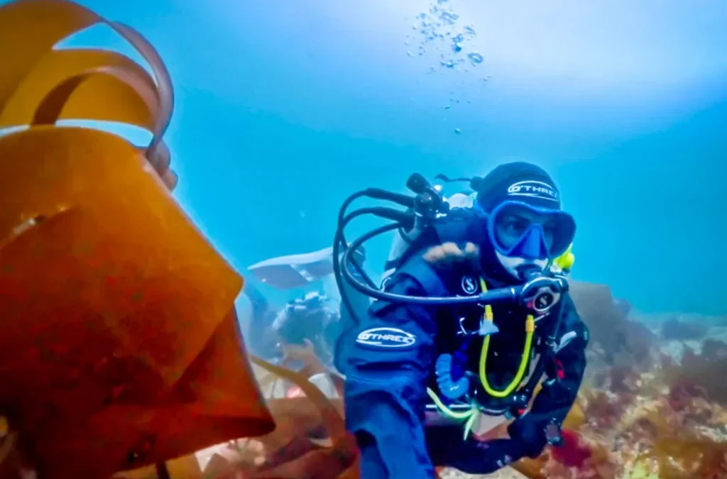 Scientist’s Lifelong Obsession With the Mystery of the Elusive ‘Pink Zebra’ Seaweed